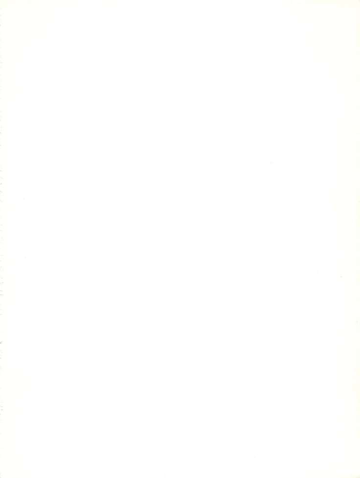 メイレイデンパIVゼッタイ安政