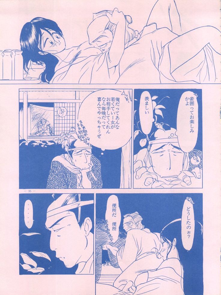 メイレイデンパIVゼッタイ安政