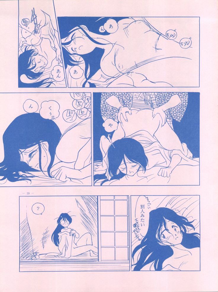 メイレイデンパIVゼッタイ安政