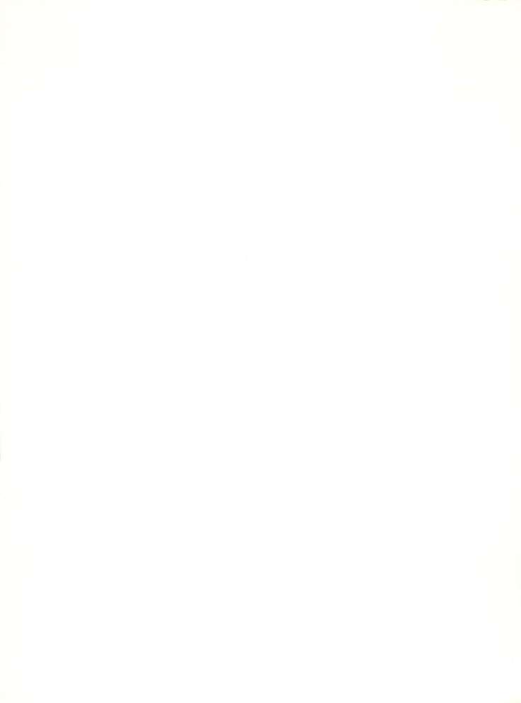 メイレイデンパIVゼッタイ安政