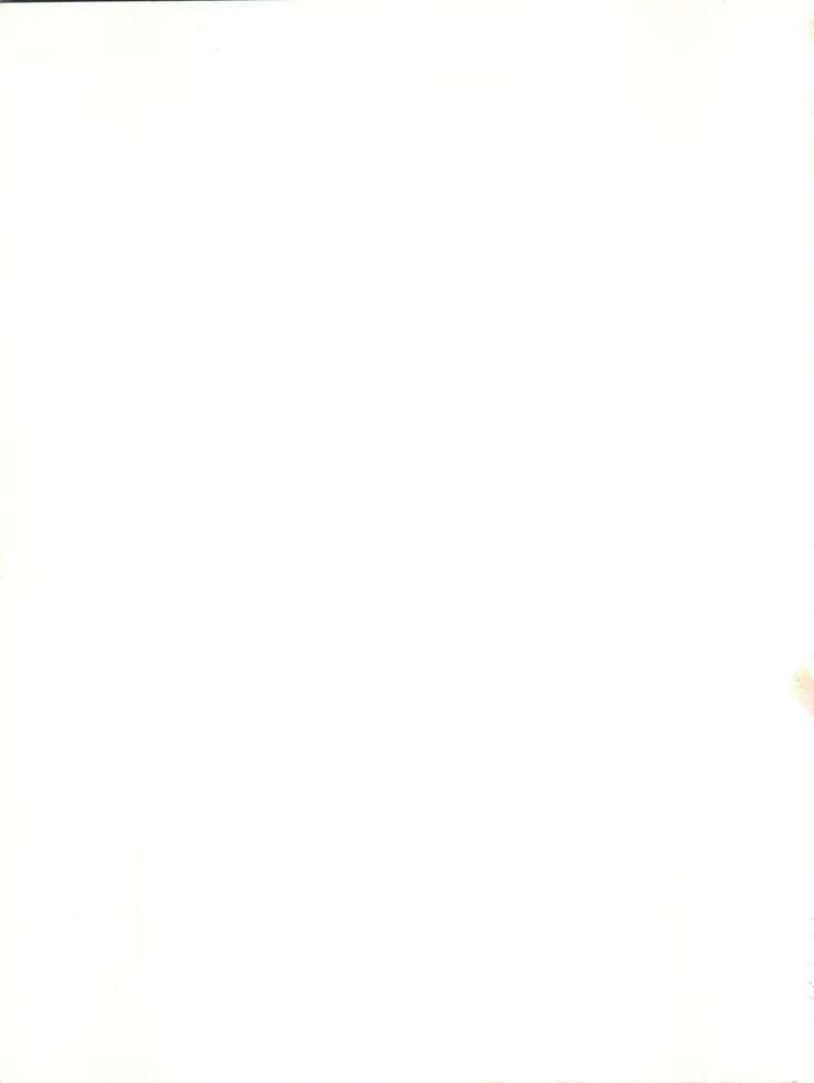 メイレイデンパIVゼッタイ安政