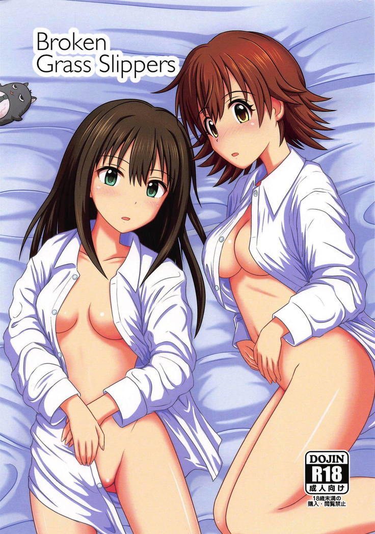 壊れた草のスリッパ 壊れた草のスリッパ