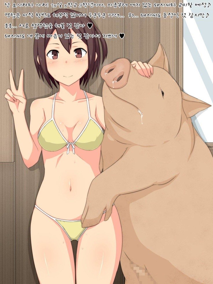 太田の乙女さん