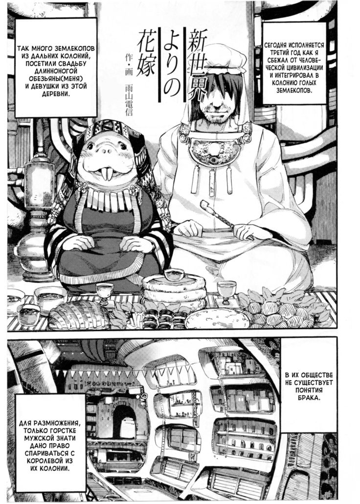 新婦のはなよめ|新世界からの花嫁 新婦のはなよめ|新世界からの花嫁