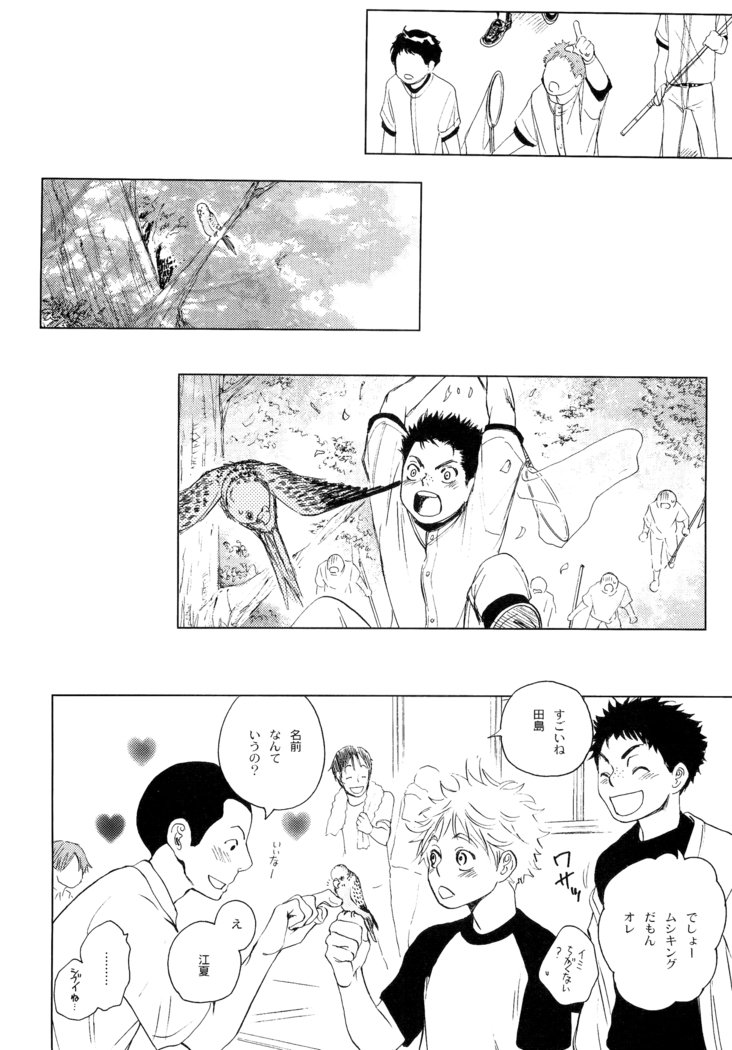 若ばのコロ
