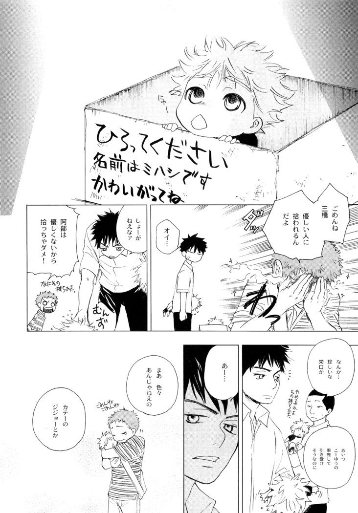若ばのコロ
