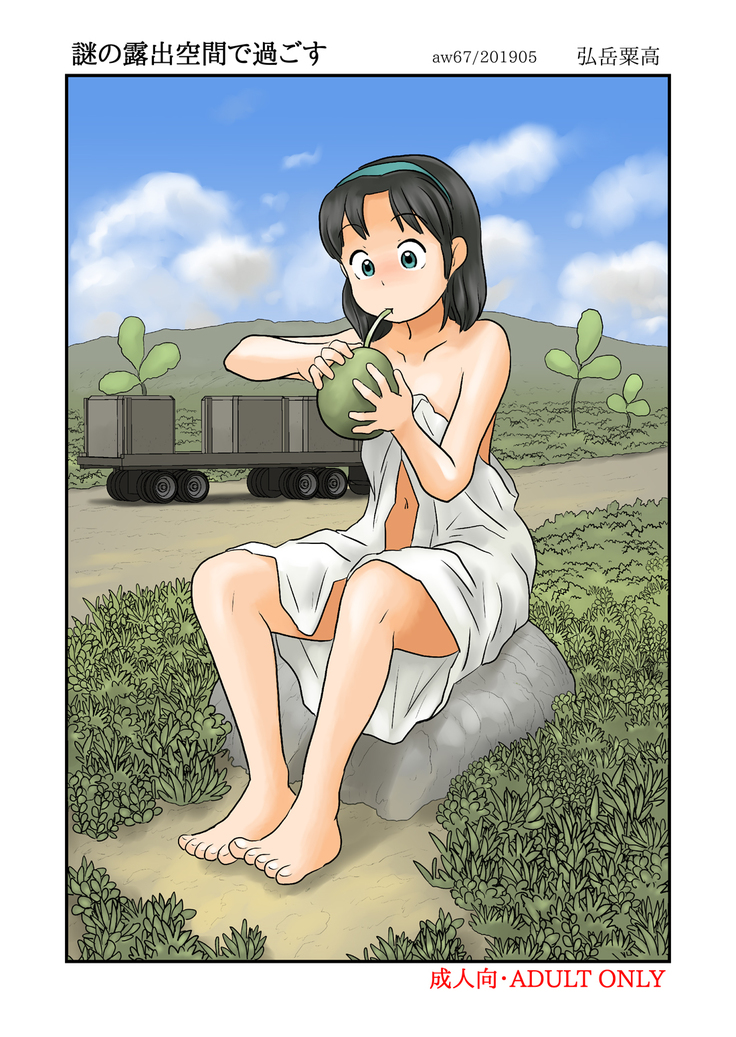 なぞのろしゅつくかんですごす