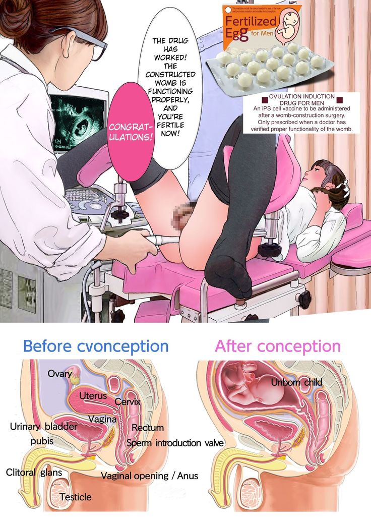 オトコノコエホンケッコンシュッサンジュンユウ編