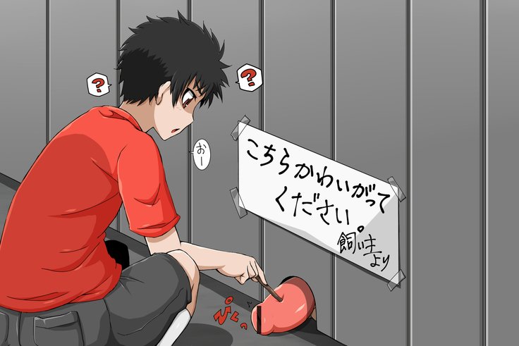 あそびしきゅ