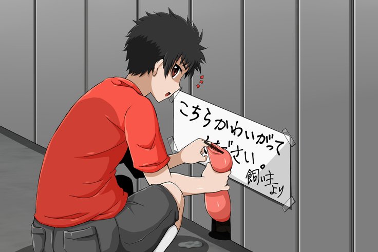 あそびしきゅ