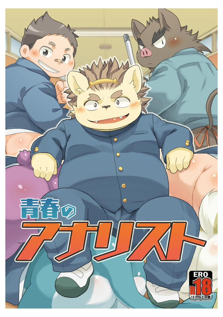 青春のアナリスト 青春のアナリスト