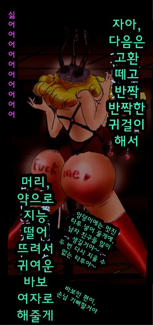 シンキョウセイ5-nenMake신강제5년메이크