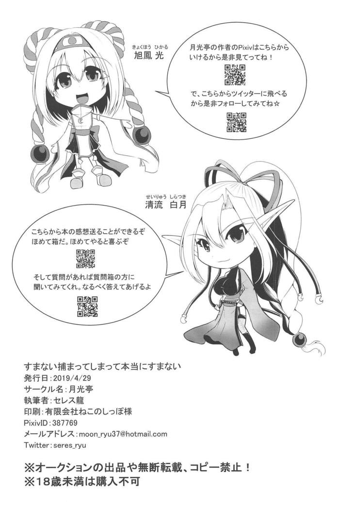 すまないつかまってしまってほんとうにすまない