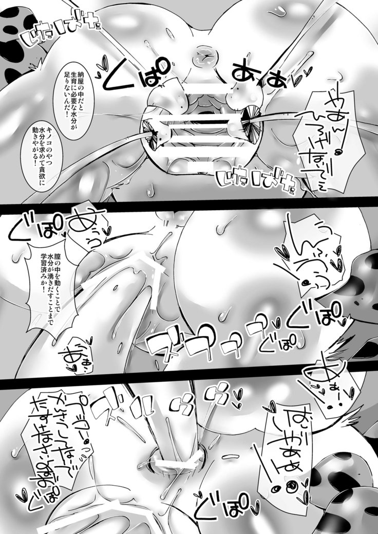 ファンタジアプラス