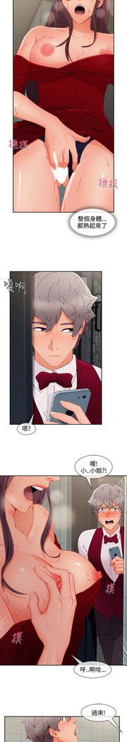 レディガーデン淑女花苑第三季