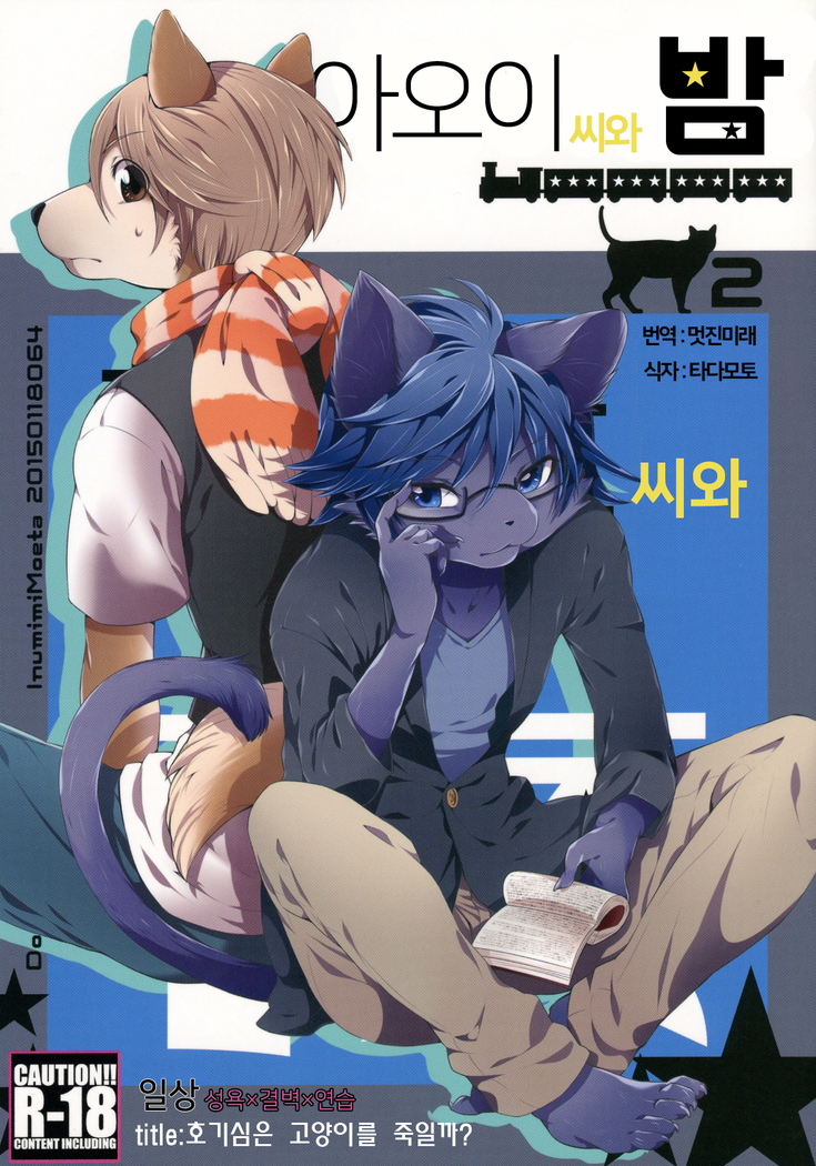 葵さんから夜2へ| 아오이씨와밤2 葵さんから夜2へ| 아오이씨와밤2