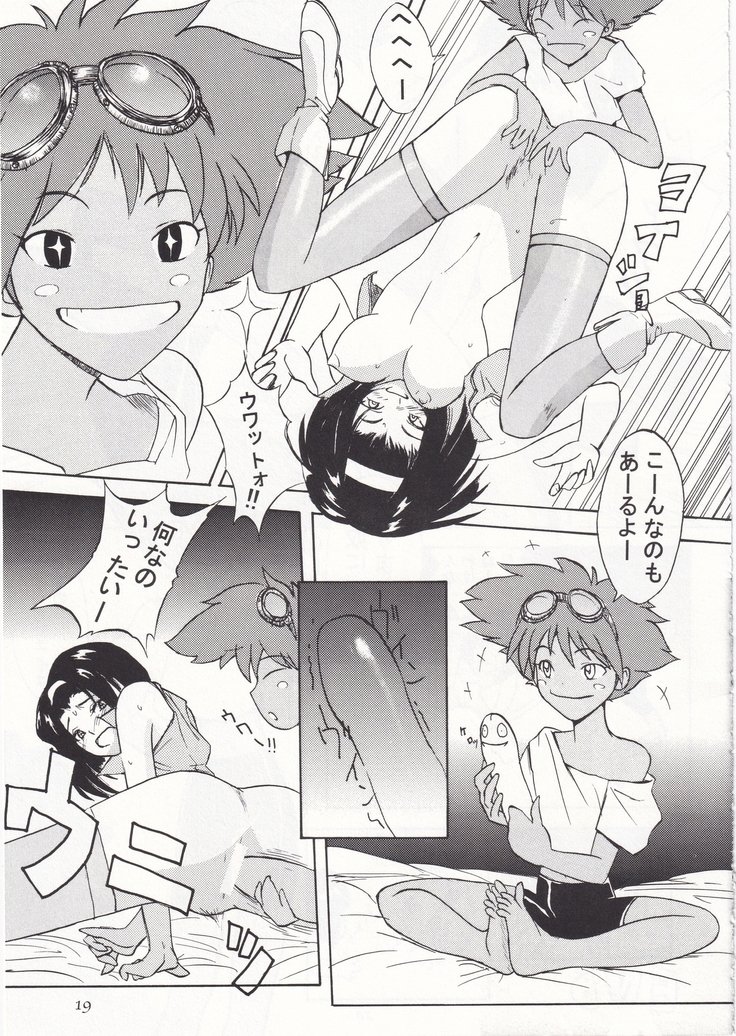 POYOPACHO WONDERFUL POYOPACHO WONDERFUL