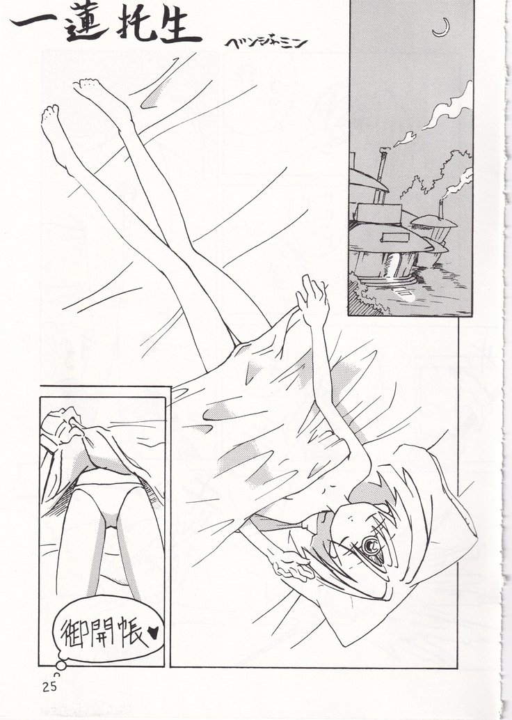 POYOPACHO WONDERFUL POYOPACHO WONDERFUL