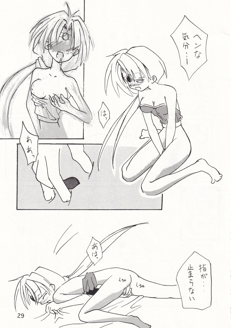 POYOPACHO WONDERFUL POYOPACHO WONDERFUL