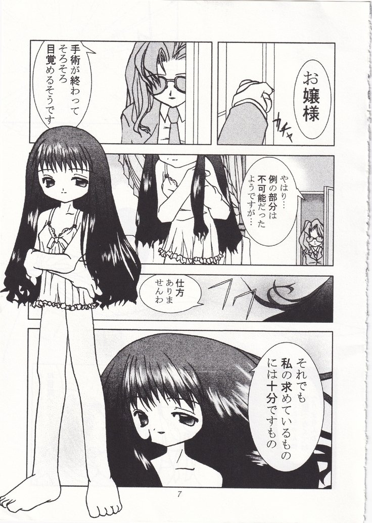 POYOPACHO WONDERFUL POYOPACHO WONDERFUL