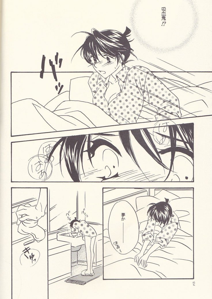 かがやいうさぎ かがやいうさぎ