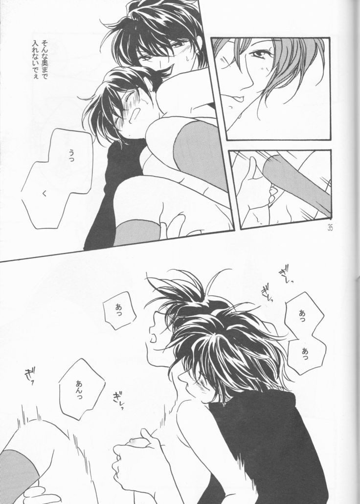 かがやいうさぎ かがやいうさぎ