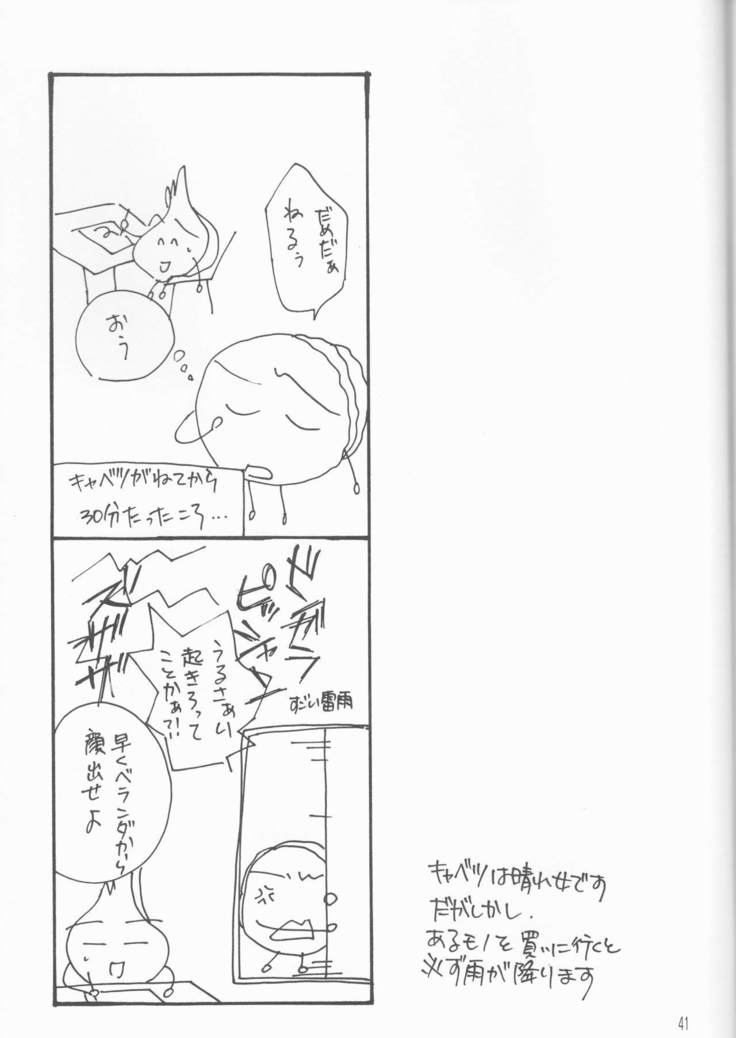 かがやいうさぎ かがやいうさぎ