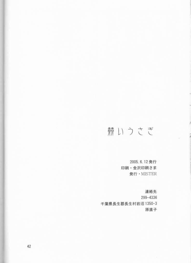 かがやいうさぎ かがやいうさぎ