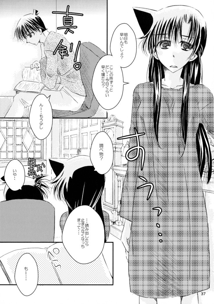 マカロン-チョコレート-ドルチェ