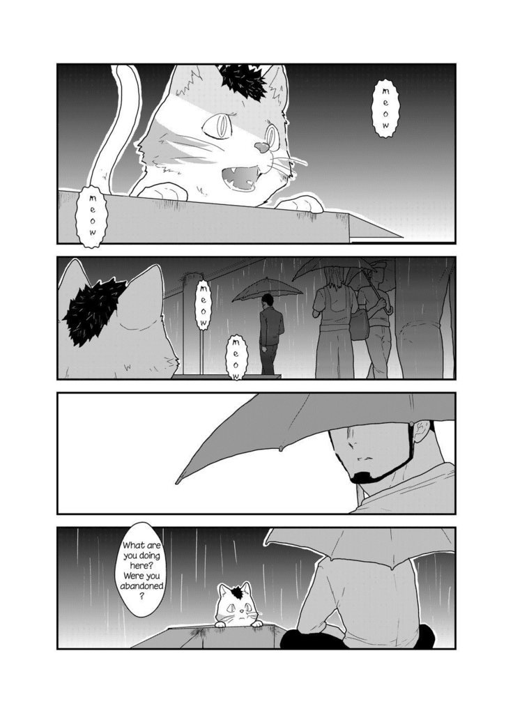 化け猫カタリ