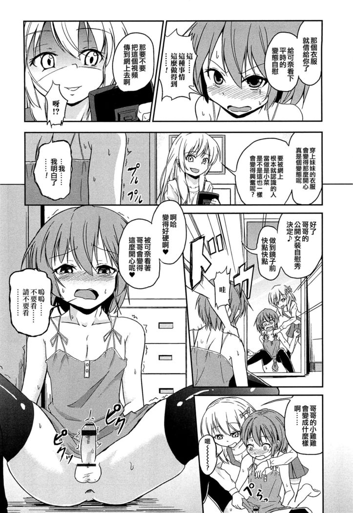 ペットなぼく