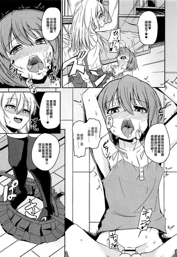 ペットなぼく