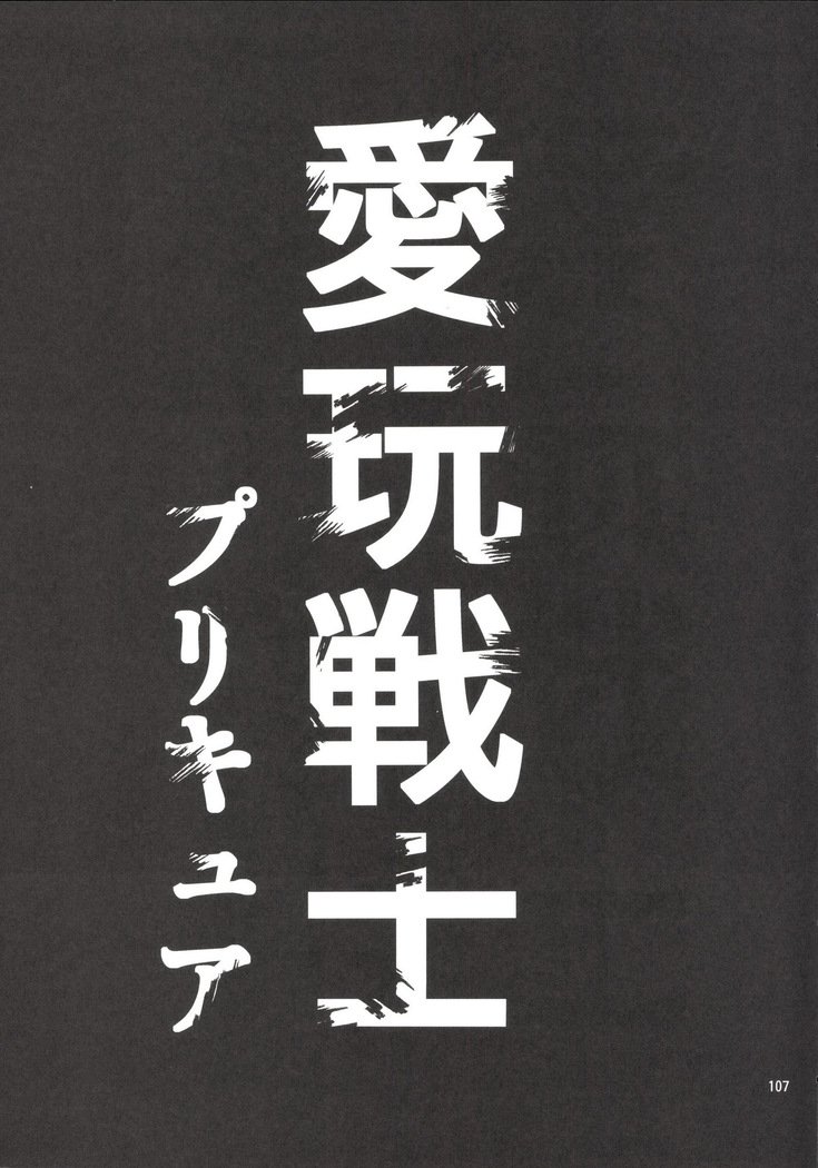 観善海北愛眼戦士総州編