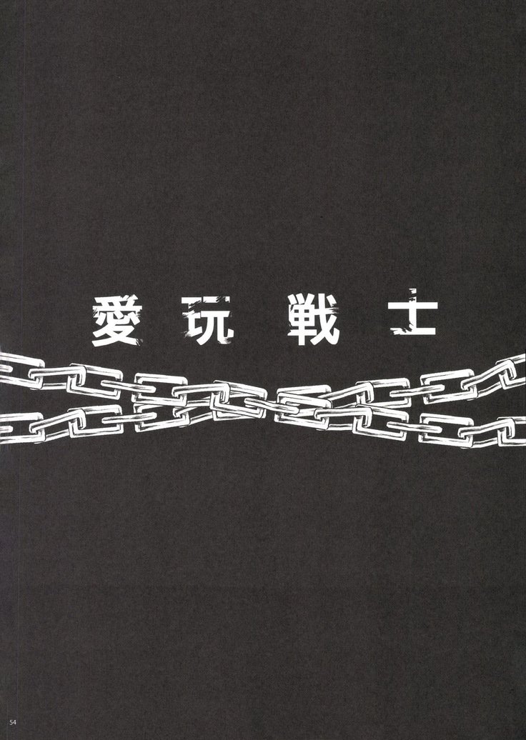 観善海北愛眼戦士総州編
