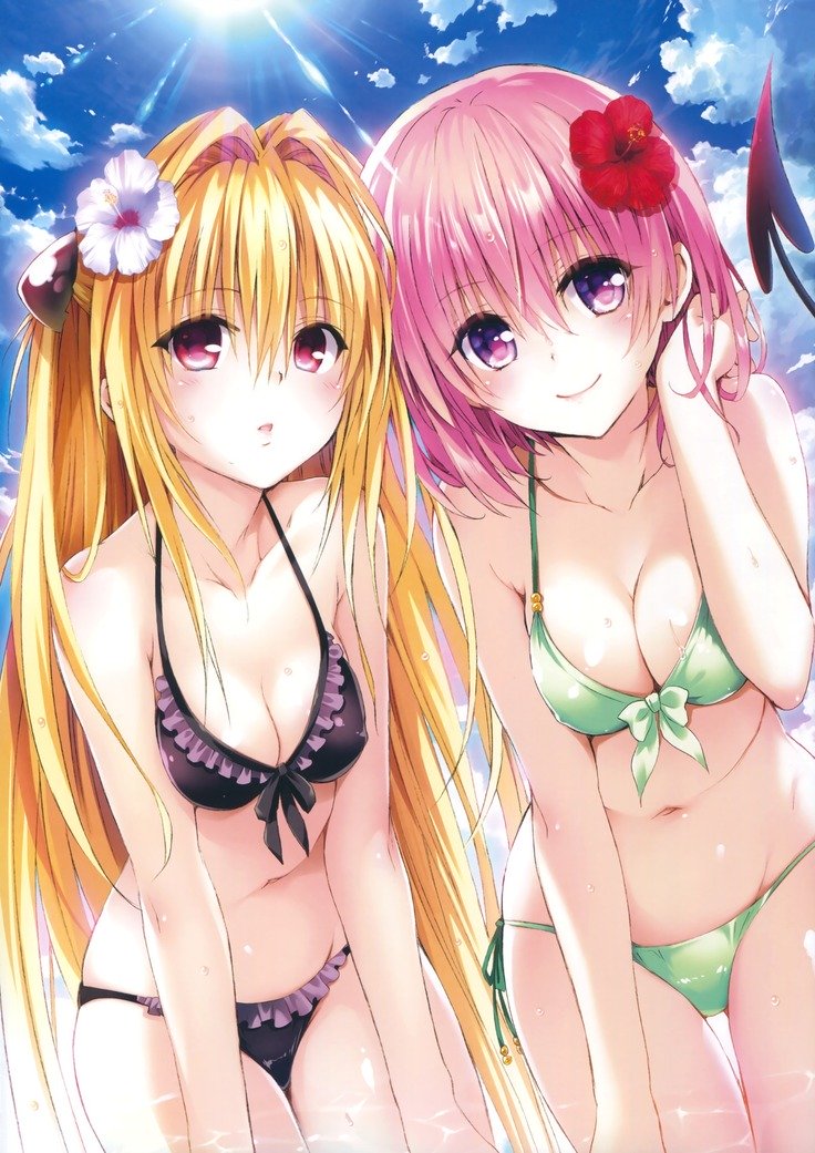 ToLOVEる-とらぶる-とらぶる-闇アートブックハーレムゴールド
