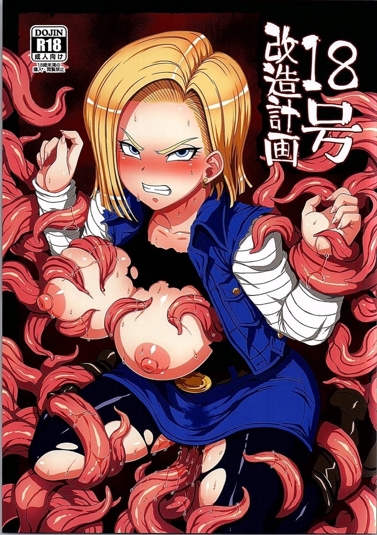 18号改造計画 18号改造計画