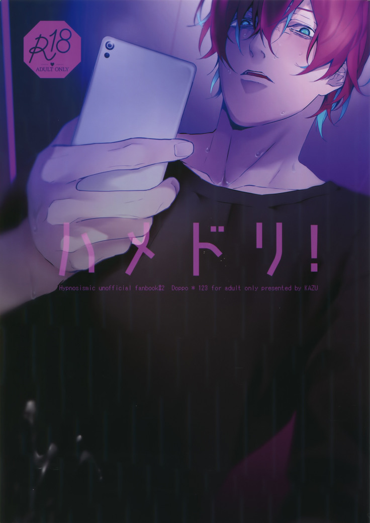 はめどり! はめどり!