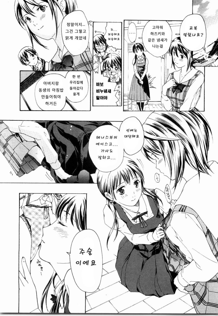 少女聖樹-少女の聖域