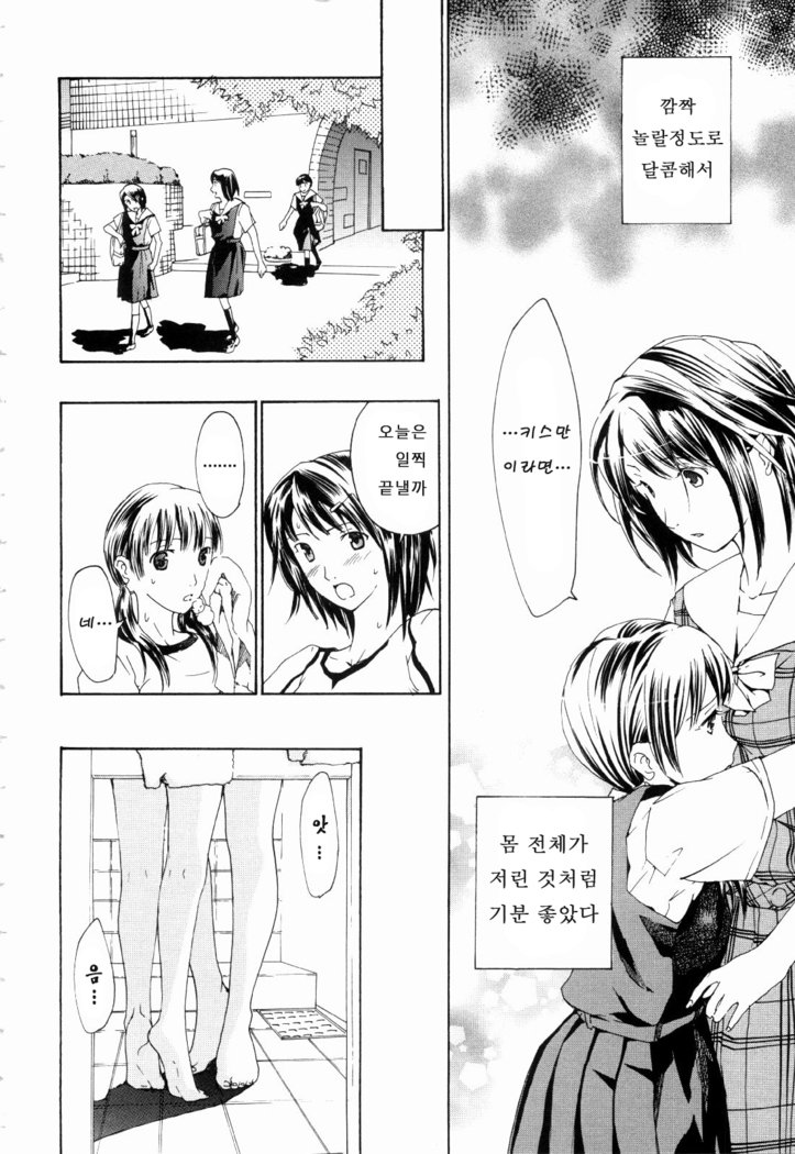 少女聖樹-少女の聖域