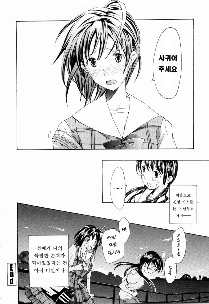 少女聖樹-少女の聖域