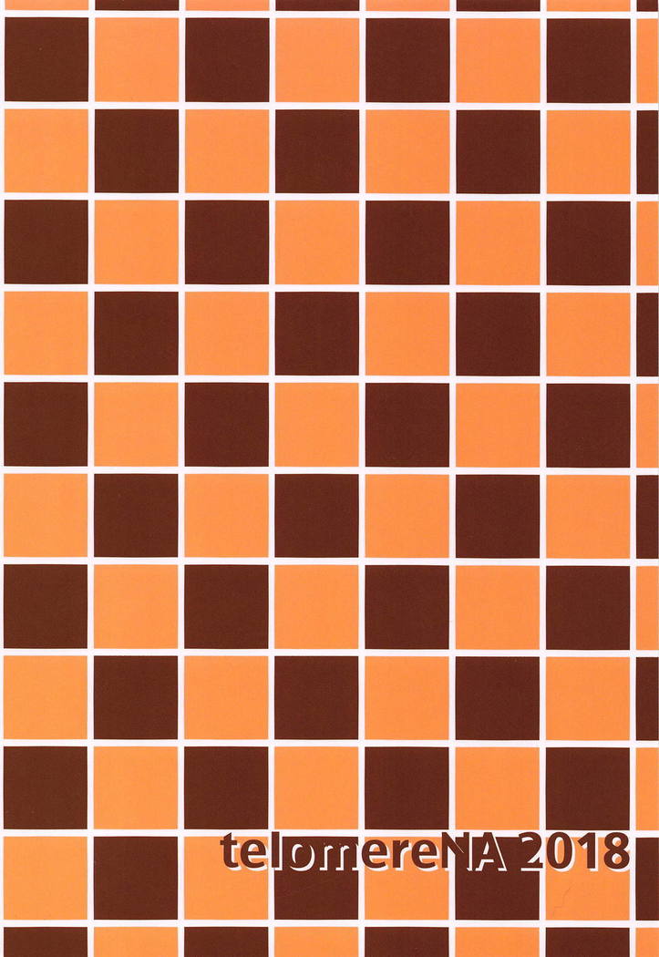 南だってゆうわく島須よ