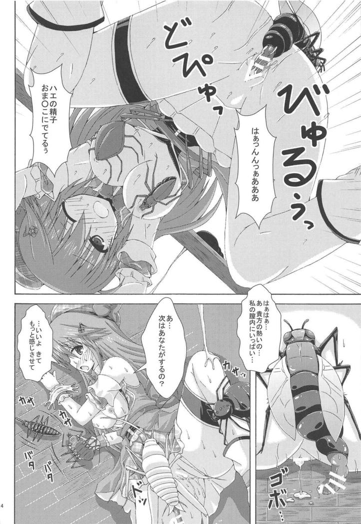 ガイチュウタチのコウカサイ