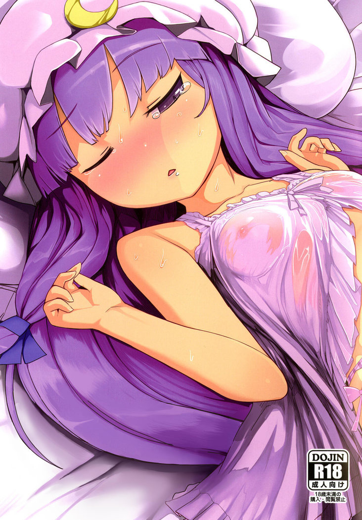 パッチさんのねてるあいだに!! パッチさんのねてるあいだに!!