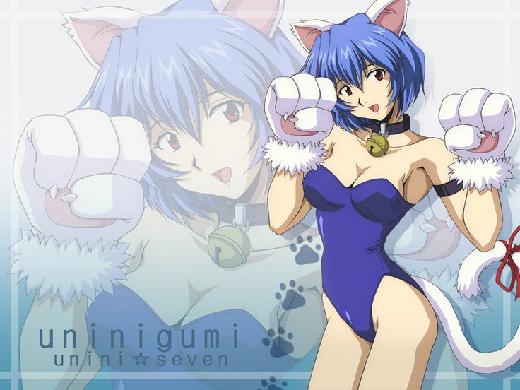 ユニオンぼくじょうバラエティボックス