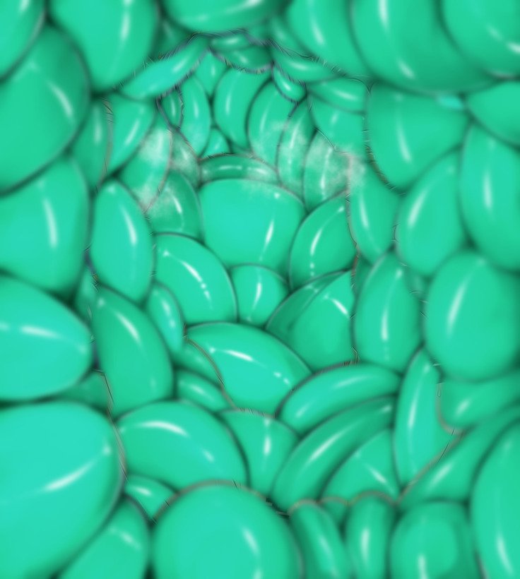 金ぷんのひかり