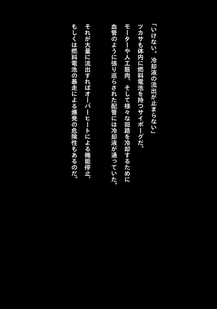 不自然な罠のホール