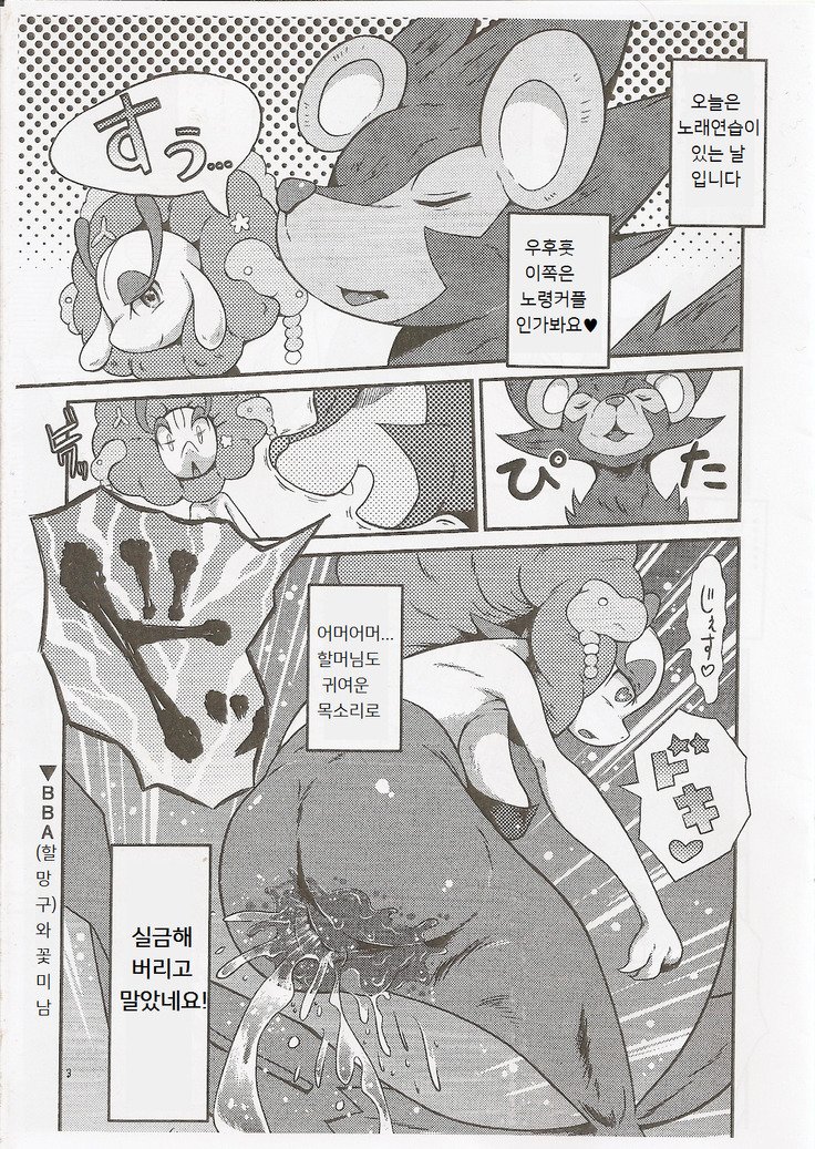 シータイかんさつつ