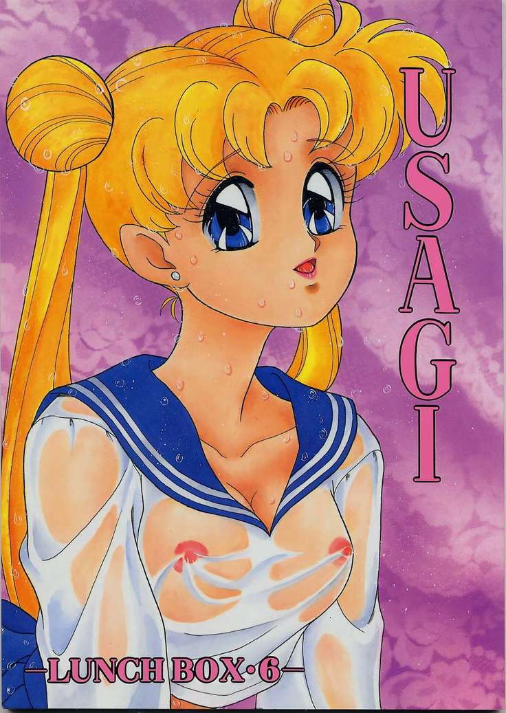 USAGI-ランチボックス6- USAGI-ランチボックス6-