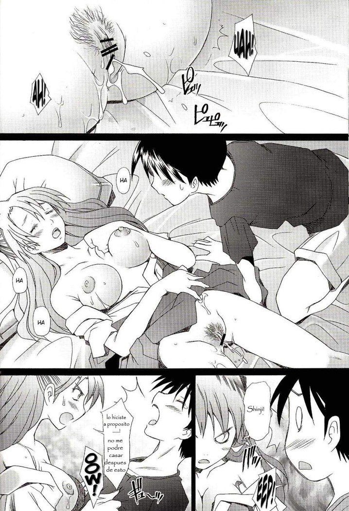 混乱レベルAVol。 1 DoujinshisFansubs
