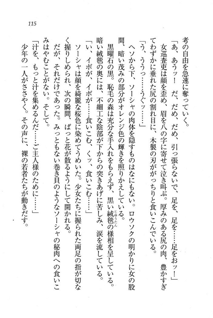 サーカス〜聖杯の魔法使い